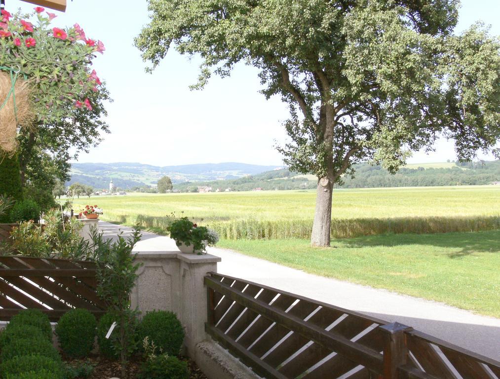 Privatzimmer Und Ferienwohnungen Leeb Persenbeug Exterior foto